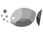 fishfire
